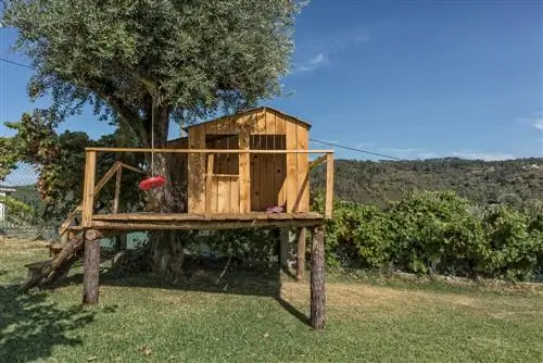 Anclar el tronco del árbol en el suelo: seguro y estable