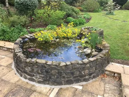 Acqua in giardino: come creare mondi acquatici da sogno