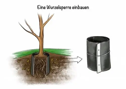 Ini adalah bagaimana penghalang root dipasang