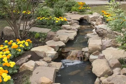 stream garden