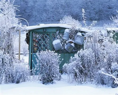 Winterharde bloemen: Onmisbaar in iedere tuin