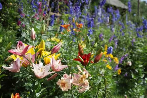 het aanleggen van een bloementuin