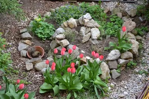 Construye una espiral de hierbas con piedras del campo.