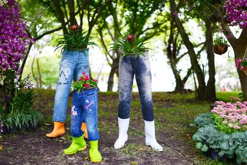 Piantare jeans: una guida creativa per il giardino