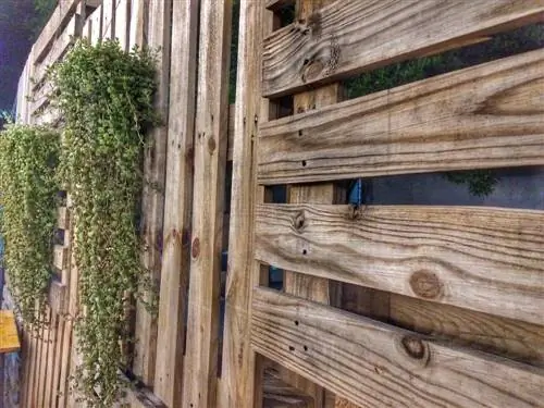 Schermi privacy realizzati con pallet: idee creative per il giardino