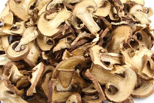 Enjoy mushrooms without time pressure: preserve mushrooms