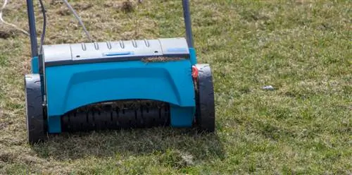 Scarifying the lawn manually: This is how it works correctly