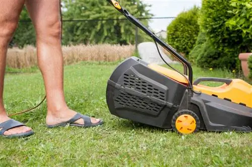 Mowing before scarifying: How it optimizes the lawn