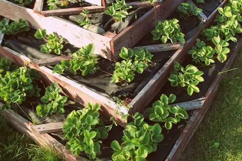 kruidenspiraal houten bouwinstructies