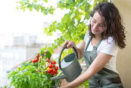 Creating a balcony garden