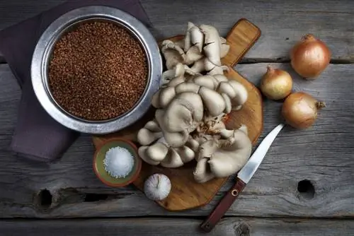 Preparació de bolets: receptes i idees delicioses