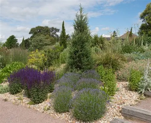 Criando um canteiro de cascalho: passo a passo para um jardim moderno