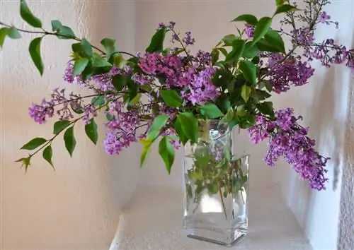 lilacs-in-the-vase