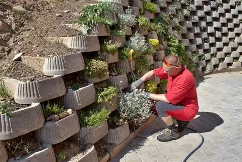 Refuerzo de pendientes y reverdecimiento: plantar piedras de cuchara correctamente