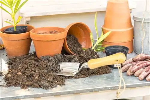 Potgrond ook vir normale plante: voordele en gebruike