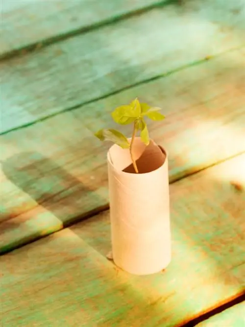 Make your own seed trays