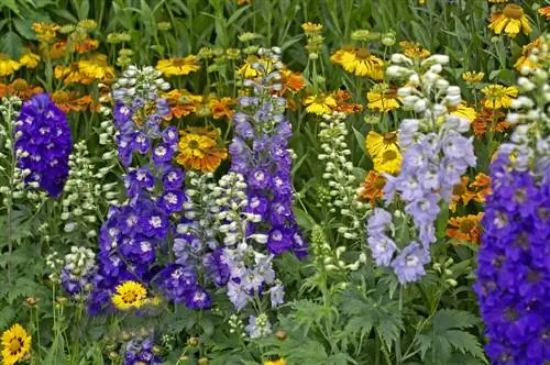 Diseño de macizos perennes soleados: consejos para tiempos de floración prolongados