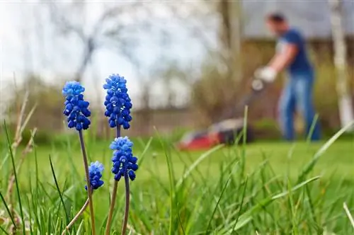 Het gazon maaien na de winter: wanneer is het juiste moment?