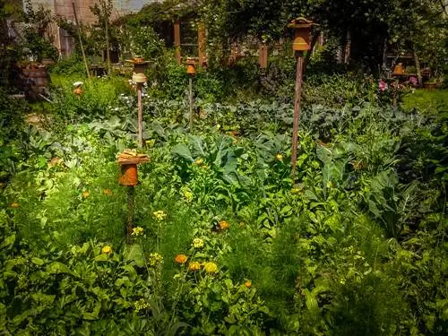 Planificación de un jardín de permacultura: ¿Cómo empezar de forma sostenible?