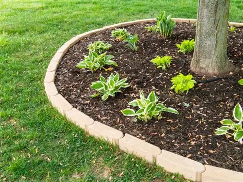 Pavimentar rodanxes d'arbre: mètodes i materials suaus