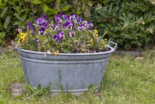 Plantinstructies voor zinkkuipen