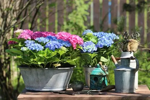 Planting zinc containers