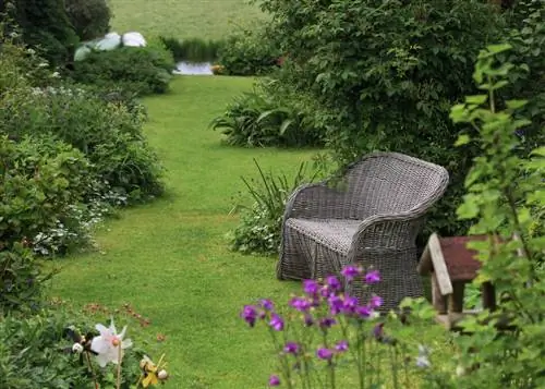 Planter le jardin : Des idées créatives pour un paradis fleuri