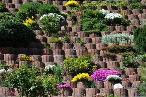 planter des pierres