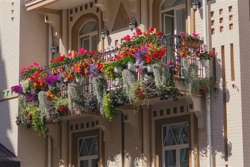 Crea un balcó atractiu amb idees creatives de plantes de balcó