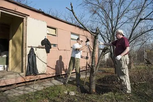 tree-removal