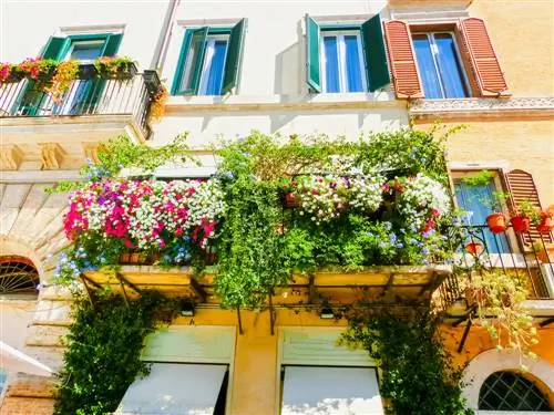 Consigli per la progettazione delle piante del balcone