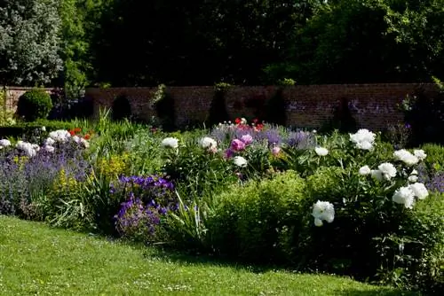 Bloeiende tuin: plan en creëer een meerjarig bed