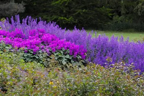 Perennbäddsparadis: Så här blommar den året runt