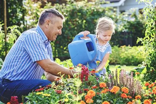 herbaceous bed care