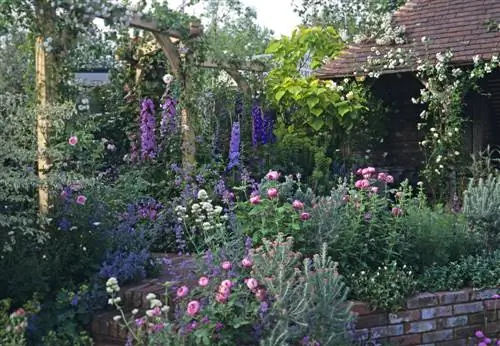 Planning a perennial bed: How to skillfully integrate roses