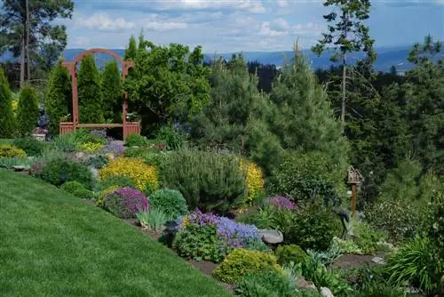 Diseño de una cama inclinada: consejos para una plantación exitosa