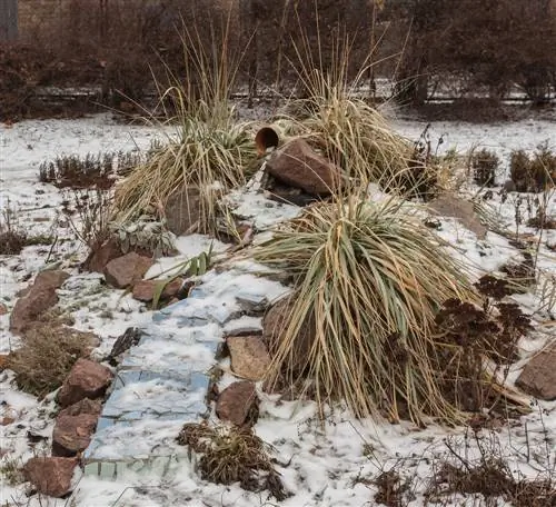 Winterhard meerjarig bed: hoe u het optimaal kunt voorbereiden