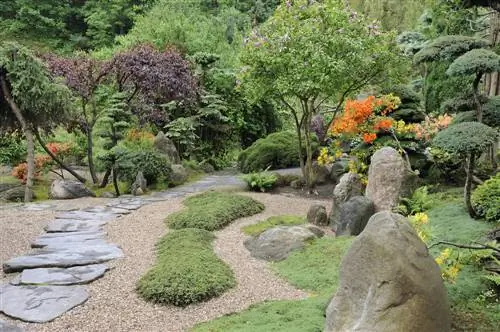 Japanese Garden: Matching trees and their meaning