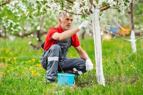 painting trees