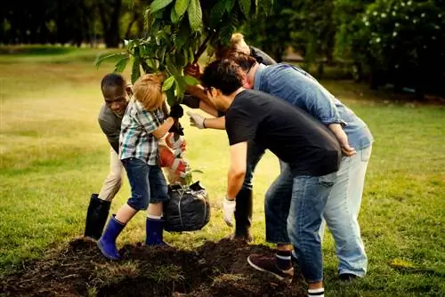 planting time trees