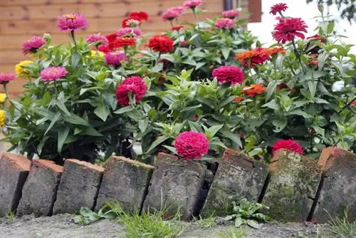 Bed edging with old bricks: Creative ideas & instructions