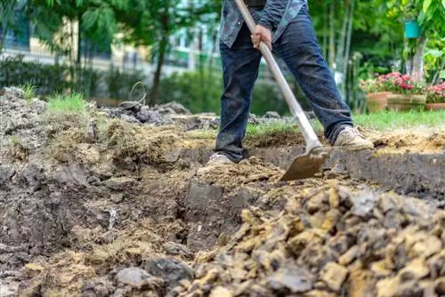 preparazione del roseto