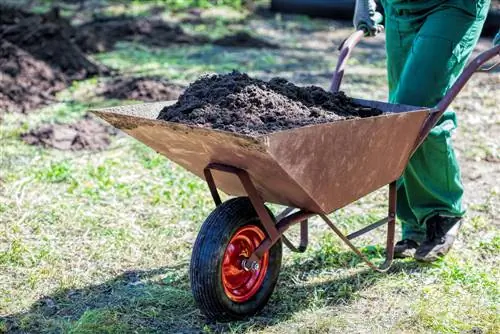 De juiste grond voor een gezond bed: tips en trucs