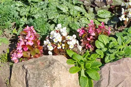 Colocación de piedras de borde: así es como se crea el borde perfecto