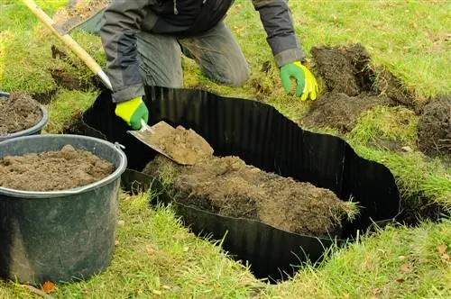 Root barrier sa hardin: aling mga puno ang talagang kailangan mo