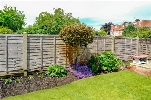 Create a bed under the tree: Beautiful garden despite the shade