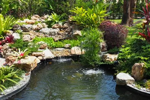 Garden design with water: create a stream and pond