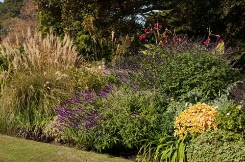 How do I combine grasses and perennials perfectly in the bed?