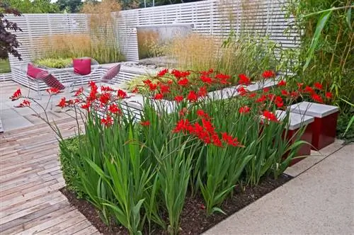 Crea una cama frente a la terraza