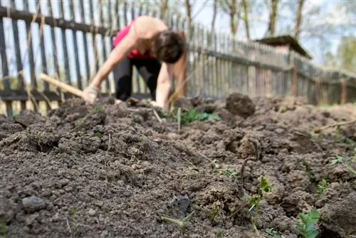 Voorbereiding van die beddens: wenke en stappe vir optimale groei